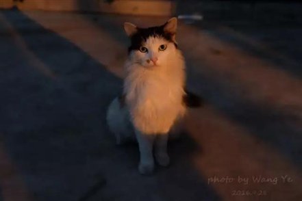 C:UsersAdministratorDesktop微信图片_20171216210244.jpg