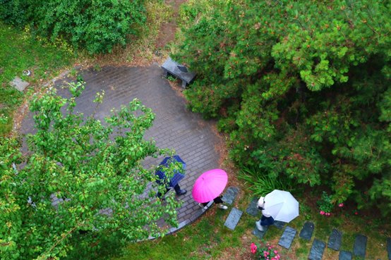 C:UsersysDesktop摄影大赛相机吴清清春雨-吴清清.jpg